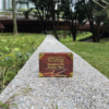 Tongkat Ali - ETUMAX for him 10 capsules - Image 6